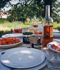 Home Page Image